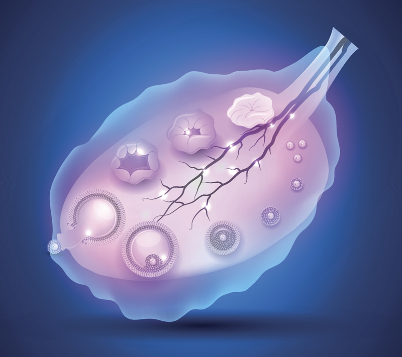 2026年兰州试管婴儿医院排名前五解析：附7天胚胎筛查技术与高生殖中心推荐